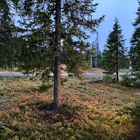 Tundra * Ruka